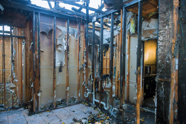 Professional Fire Damage Removal technician working in Burlington, KY