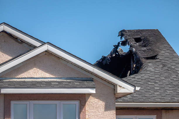 Top rated local Fire Damage Removal specialists in Burlington, KY